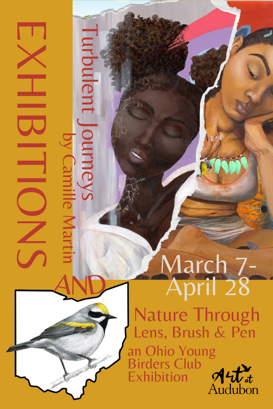 New Exhibit!